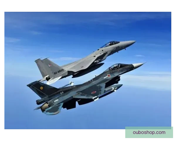 以桑多二比一国防军为核心的战术体系与现代防卫力量发展观察